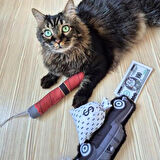 Miyav Mafya Temalı 4'lu Kedi Oyuncak Seti