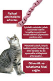 Miyav Matatabi Çubuklu - Catnipli Peluş Sosis Kedi Oyuncağı Pembe Renkli 