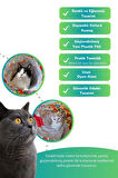 Miyav Renkli Desenli Uzun Kedi Tüneli 125 Cm Katlanabilir