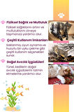 Aqua Temalı Kedi Tüneli 60 Cm Oxford Kumaşlı Dayanıklı Oyun Tüneli