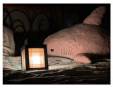 Minecraft Lantern