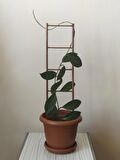 Akat Cosy Saksı İçi Dekoratif Ahşap Bitki Destek Merdiveni (50 cm)