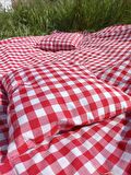 Kırmızı Piknik Örtüsü 170x170 Cm 2 Adet Miinderli Piknik Seti