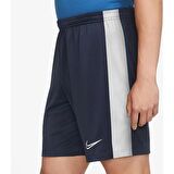 Nike Academy Erkek şort