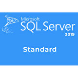 Microsoft SQL Server 2019 Standard Lisans