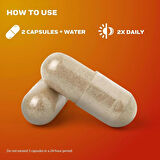 MuscleTech Thermogenic Testosterone Booster for Men AlphaTest Thermo Tribulus Terrestris 90 Caps