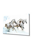  Miyrem Glasses Collection -A1^#  Beyaz Atlar Hayvanlar Cam TabloCam Tablo