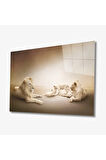  Miyrem Glasses Collection -A1^#  Aslan Hayvan Cam Tablo