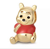 Gümüş s925 Damgalı Winnie the Pooh Charm