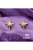14AYAR 3.53Gram Altın Kutup Yıldızı küpe