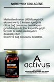 NORTHWAY TYPE II COLLAGEN 30 KAPSÜL