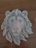 Aslan Mum