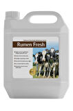 Rumenfeed Rumen Fresh, Ruminant Hayvanlar Için Propilen Glikol Içerikli Enerji Takviyesi 5 Kg