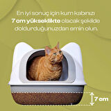 Zeytin Çekirdeğinden Üretilen Doğal Tozsuz Kedi Kumu 7 L 2 Adet