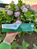 ORECARE Tiens Bitkisel Diş Macunu 135 ml