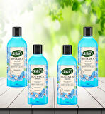 Dalan Botanica Duş Jeli Orkide 500 ml 4 adet