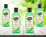 Dalan Fresh Aloe Vera Duş Jeli 500 ml 4 adet