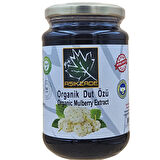 Aşıkzade Organik Keçiboynuzu Özü + Aşıkzade Organik Dut Özü + Aşıkzade Organik paket