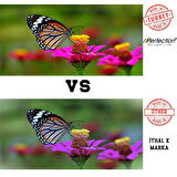 PERFECTİON Canon Uyumlu TS7650i TS7750i PG585 - CL586 Kartuş Mürekkep Dolum Seti 5X500 gr.