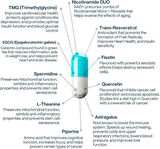 Perpetua Life AEON Liposomal NAD+ Longevity Complex, with NAD+, NR, Trans Resveratrol, Quercetin, Fisetin, L Theanine, TMG, EGCG, Spermidine, Astragalus, Anti-Aging Vegan, 60 Capsules