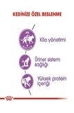 Sterilised 37 Kısır Kedi Maması 4 Kg 04/2024