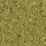 Tetra Phyll Flakes Bitkisel Pul Yem 500 Gr