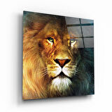 Aslan Cam Tablo | Hediyelik, Dekoratif, Ofis, Mutfak 