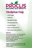 Proclis Okaliptüs Yağ, Doğal Uçucu Yağ, Eucalyptus Oil, 3'lü Set 3x10 ml