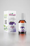 PROCLİS Lavanta Yağı, Doğal Uçucu Yağ, Lavander Oil, 3'lü Set 3x10 ml