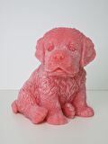 BÜYÜK PEMBE KÖPEK MUM