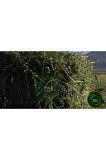 POLY Kemirgen DOĞAL KURU YONCA KEMİRGEN OTU-TAVŞAN-GİNEPİG-HAMSTER 3000 Gr