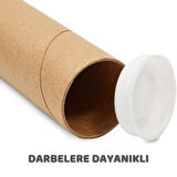Beylini Postüp Kapaklı Silindir Kutu Karton Rulo Gönderi Poster Afiş Harita Tüpü 5 Adet 5 cm x 60 cm