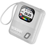 10000 mAh Fast Charge Powerbank with Phone Call