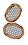 TURUNCU Neon Işıklı 6x9 Oval Hoparlör ve Midrange Kapağı 1takım (2adet)