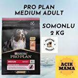 Pro Plan Medium Adult Açık Somonlu Köpek Maması 2Kg