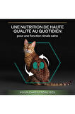 Pro Plan Sterilised Kısırlaştırılmış Somonlu Kedi Maması 10 KG