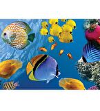 Hayal Sepeti Puzzle  BALIKLAR modeli  100 Parça 24X34Cm 