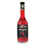 Berry Hibiscus Base Hibiskus ve Orman Meyvesi Baz 700 ml