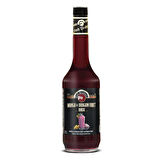 Mango ve Ejder Meyvesi Aromalı Base Mango & Dragon Fruit Base 700 ml