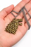 Altın Renk Kurt Başlı Metal Kolye Witcher Unisex Zincir Aksesuar