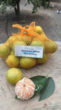 mandalina (satsuma rize)