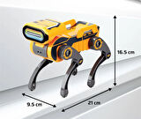 Robot Köpek Robo Dog Teslimat Robotu 