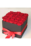 Siyah Kare Kutu Içinde Kadife Kırmızı Güller
