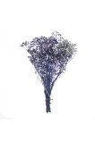 1 Demet Doğal Cipso Çiçek Naturel ( 18 Cm * 40 Cm ) ( 50 gram) Parti Süslemeleri