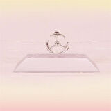 BUFFER® Dekoratif Masa Üstü Obje Manyetik Kinetik Orbital Dönen Yunuslar