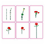  ZUZU MAX ROSE LEGO 5UC00000 GÜL SÜRPRİZİ 247 PARÇA 8+