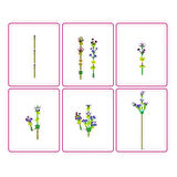  ZUZU MAX ROSE LEGO 5UC00000 GÜL SÜRPRİZİ 247 PARÇA 8+