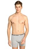 3 Adet Seher Yıldızı Gri Renk Elastan Boxer