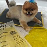 pawdaz Serin (60X40CM) - 4 Mevsim Kedi/ Köpek Matı, Sıcak Veya Soğuk Kullanılabilen Minder Yatak (antrasit)