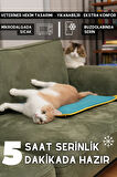 pawdaz Serin (60X40CM) - 4 Mevsim Kedi/ Köpek Matı, Sıcak Veya Soğuk Kullanılabilen Minder Yatak (petrol)